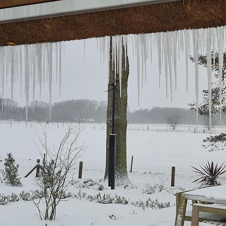 Charming Holiday Home In Nijverdal With Jacuzzi エクステリア 写真